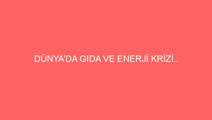 DÜNYA’DA GIDA VE ENERJİ KRİZİ..