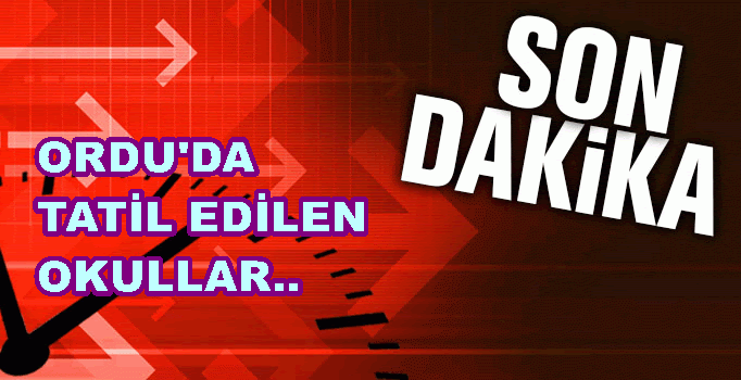 ORDU’NUN İLÇELERİNDE TATİL EDİLEN OKULLAR AÇIKLANDI..