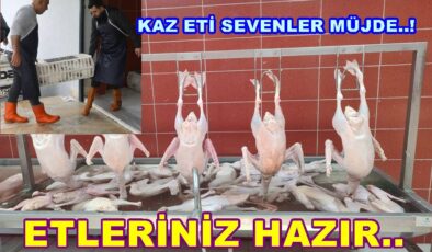 KAZ YETİŞTİRİCİLERİ  ORDU’YA GÜVEN VERİYOR..