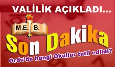 VALİLİK YARIN TATİL EDİLEN OKULLARI AÇIKLADI..