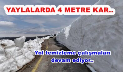 ORDU YAYLALARINDA KARLA MÜCADELE NEFES KESİYOR..