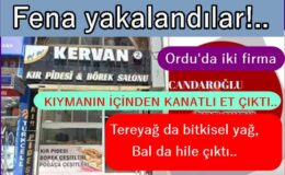 ORDU’DA PİDENİN İÇİNDE KANATLI ET YAKALANDI..