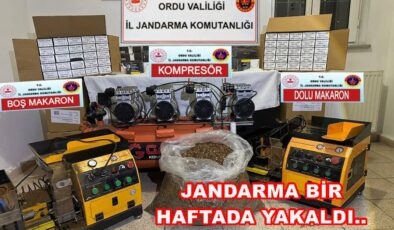 JANDARMA GEÇEN HAFTA 40 KİŞİ YAKALADI, 19 KİŞİ TUTUKLANDI..