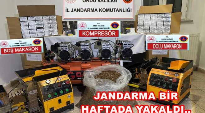 JANDARMA GEÇEN HAFTA 40 KİŞİ YAKALADI, 19 KİŞİ TUTUKLANDI..