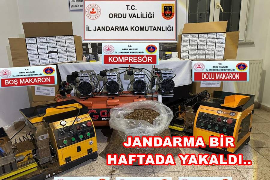 JANDARMA GEÇEN HAFTA 40 KİŞİ YAKALADI, 19 KİŞİ TUTUKLANDI..