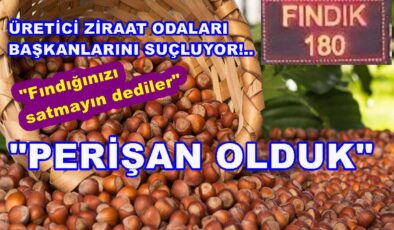 ÜRETİCİ FINDIK FİYATININ DÜŞMESİNE TEPKİLİ..