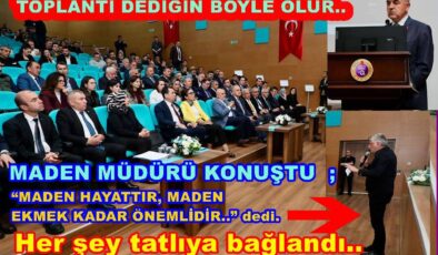 ORDU VALİLİĞİ MADENCİLİK KONUSUNDA TOPLANTI YAPTI..