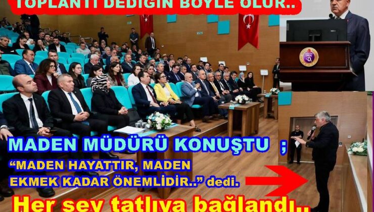 ORDU VALİLİĞİ MADENCİLİK KONUSUNDA TOPLANTI YAPTI..