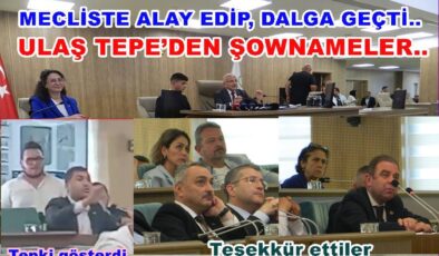 MECLİSTE HERKES TEŞEKKÜR EDERKEN, ULAŞ TEPE SİTEM ETTİ..