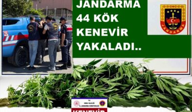 JANDARMA 43 ŞÜPHELİ YAKALADI..