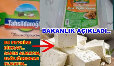 KIRIK BEYAZ PEYNİRDE BAKTERİ TESPİT EDİLDİ..