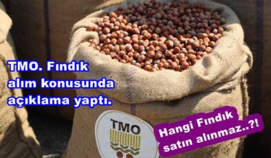 FINDIĞINIZI SATMADAN ÖNCE BU ŞARTLARI OKUYUN..