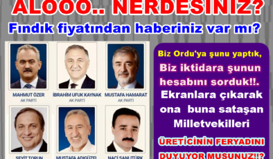 FINDIK ÜRETİCİSİNİN FERYADINA CEVAP VERİN..