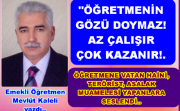 EMEKLİ BİR ÖĞRETMENİN EMEKLİ OLMADAN ÖNCEKİ YAZISI..