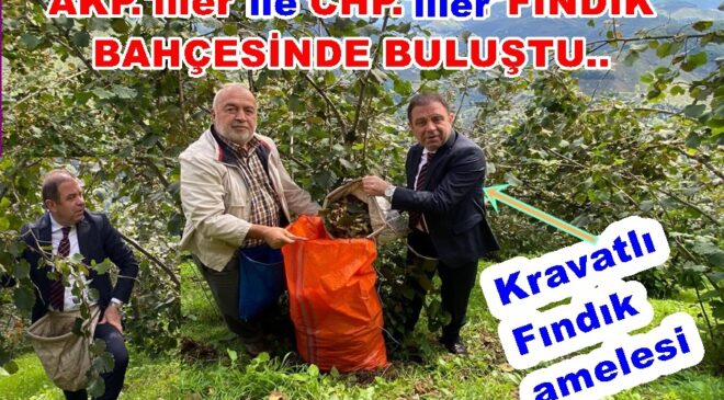 CHP.’Lİ BAŞKANLAR FINDIK BAHÇESİNDE BULUŞTU..