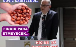 FINDIK FİYATI ARTACAK DİYE BEKLEMEYİN..