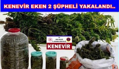 AKKUŞ’TA KAÇAK KENEVİR VE ESRAR YAKALANDI..