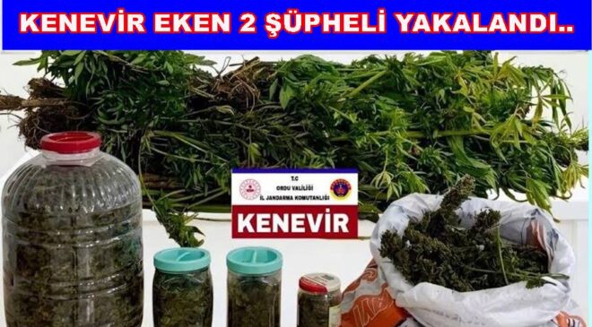 AKKUŞ’TA KAÇAK KENEVİR VE ESRAR YAKALANDI..